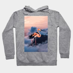 Sky Flamingo Hoodie